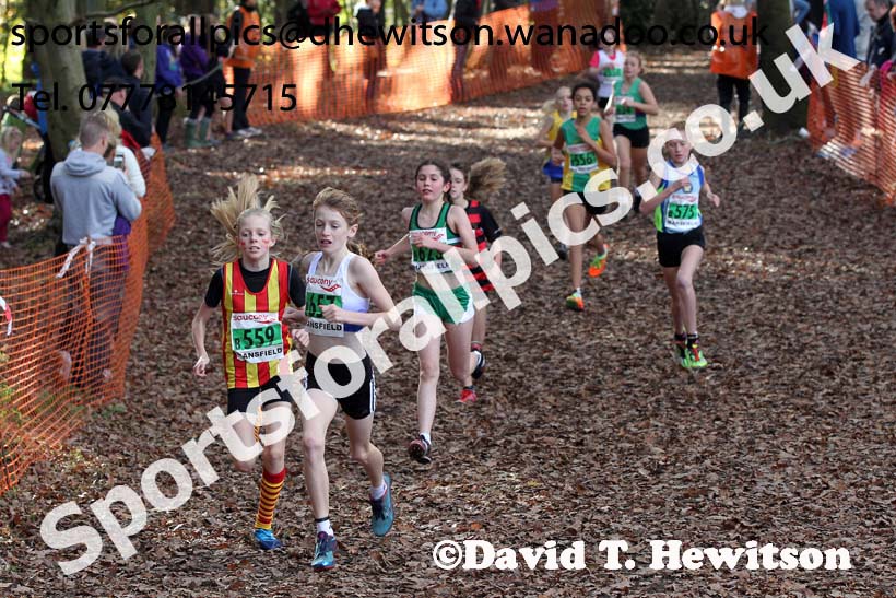 Girls under-13s National Cross Country Relays. Photo: David T. Hewitson/Sports for All Pics